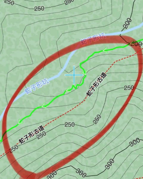 蛇來運轉-蛇子行古道-三爪坑山-蛇子崙山O2706686