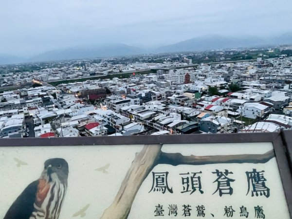1140405台東鋰魚山步道2754221