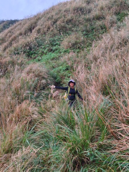 渭水之丘 烘爐地山 抹茶山 三角崙山2938750