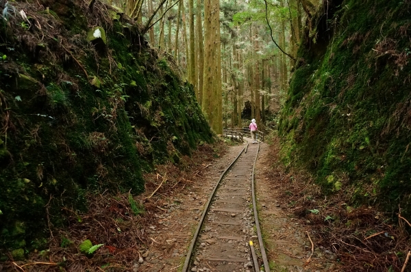 特富野古道90992