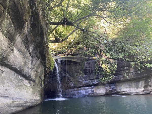 2025微笑山線大縱走尋寶集章任務-Ep.12【五分山系】望古瀑布段