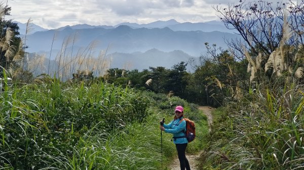 (姨婆趴趴走)第三十八集:攀登新北石碇小格頭獅頭山，探訪翡翠水庫的鱷魚島、千島湖、土虱頭景觀2416805