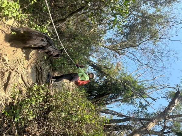 高雄美濃月光山2734943