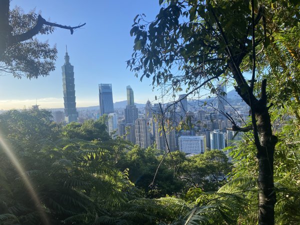 【四獸山 Short】虎豹象先行！獅山封閉中，等新步道開箱再相見2888862