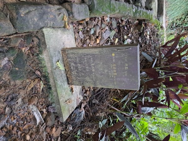 台北象山親山步道3116066