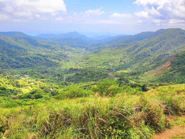 頂山，石梯嶺，竹篙山，雞心崙，五指山，梅花山，香對山，雙溪溝古道，風櫃嘴步道，土城明德山1664615