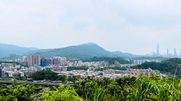 南港四小山。韓美磋2766481