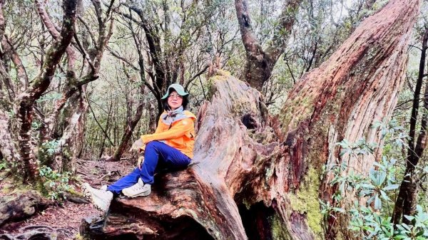 🌈4/13（日）（三）魔法森林-塔曼山~FB：熊熊趴爬走🌈2761312