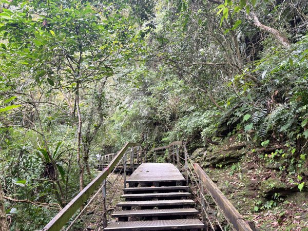 鯉魚山步道群2728324