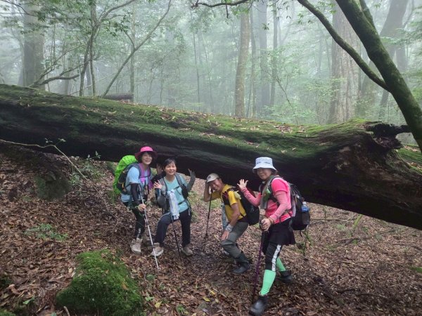 觀雪縱走~大園登山協會2828646