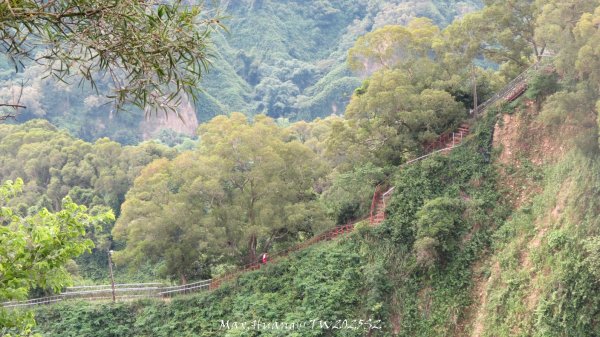 《彰化》稜線雙龍｜田中森林登山步道O型20250629