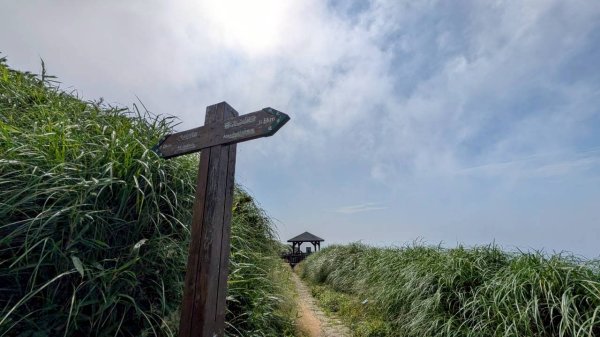 大屯山主峰步道3067632