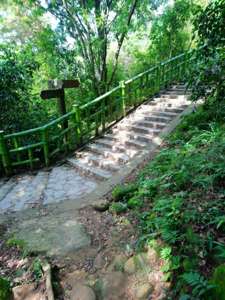 飛鳳山觀日坪古道404115