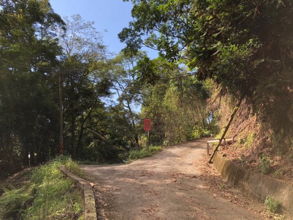 東碧山莊走木馬古道、五元二角、雲嶺之丘422897