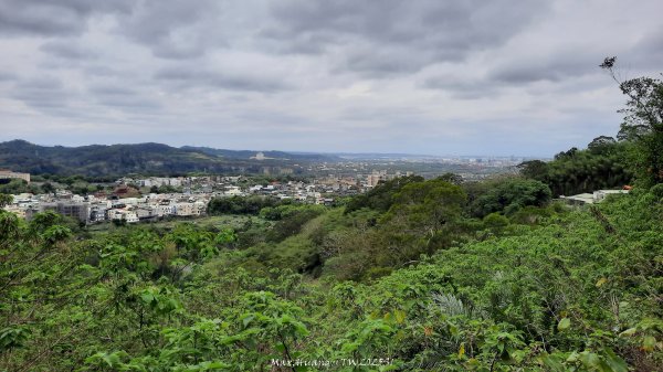 《苗栗》楓香林道｜頭份老崎古道（後花園步道）202503292748853