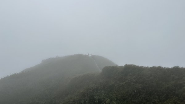 聖母登山步道～抹茶山2291915