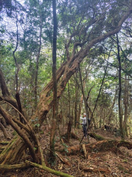 南東眼山連走有勝山2918761