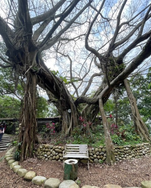 微笑山⛰️線-大棟-二格山-五分山-天上山-鳶山💎12條步道完成💙2841374