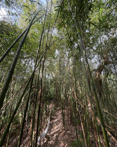 銀河洞越嶺貓空-新高麗坑山-銀獅縱走-猴山岳群峰+三條魚縱走2955916