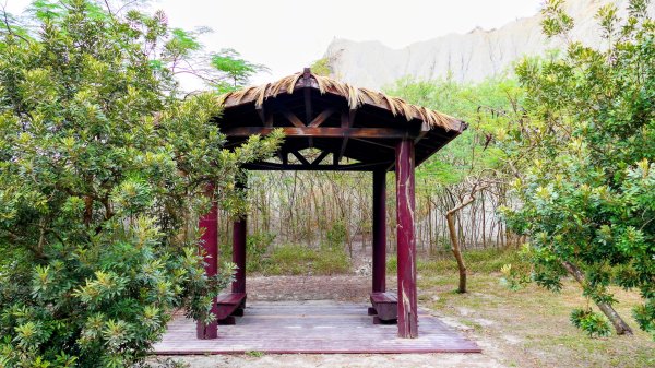 田寮月世界2954563