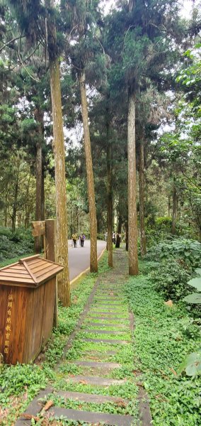 2024-05-19溪頭自然教育園區2508028