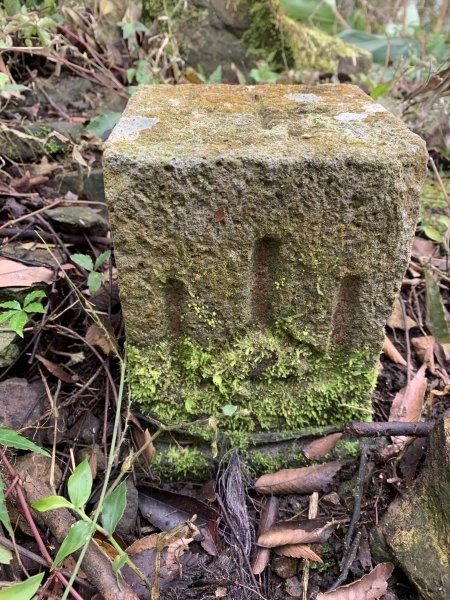 20250120高雄三縣界山-河表湖山-拉比嶺山-玉打山2697470