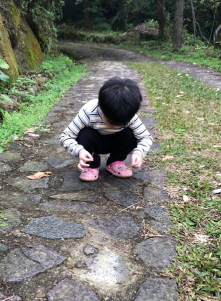 古坑華山文學步道1618596