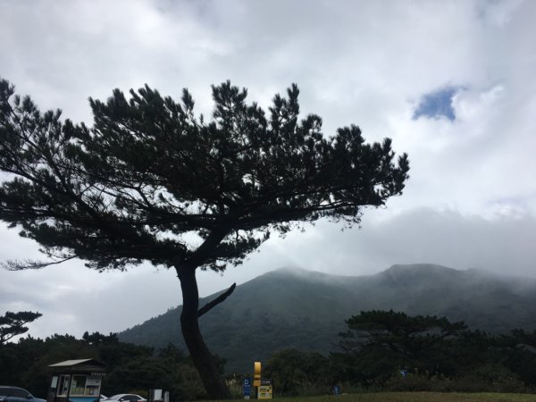 天元宮、二子坪2398108