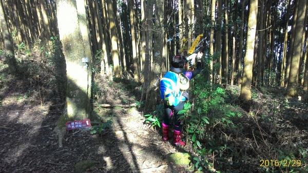 20160229新竹關西蓮苞山,外鳥嘴山31372