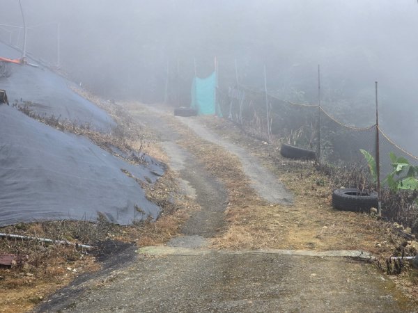 馬那邦山之雲海／雲瀑／楓紅／太陽琉璃光2668314