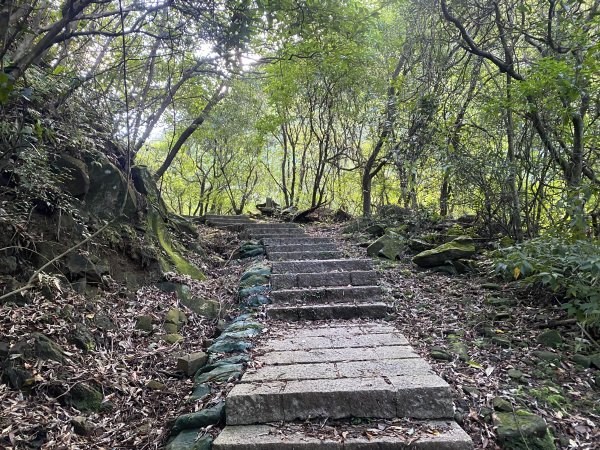 【淘金越野 20K 練跑體驗】瑞猴自行車道×大粗坑步道×金字碑古道｜陪跑練習日記2900367