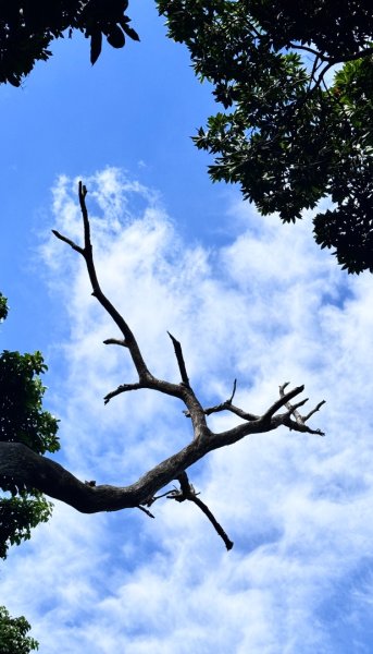 天母水管路走陽明山尖山2881353