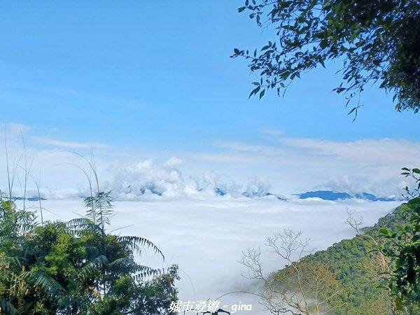 【台南。 楠西】滿滿的雲海太驚豔。 小百岳集起來。 編號67小百岳~竹子尖山步道1605877