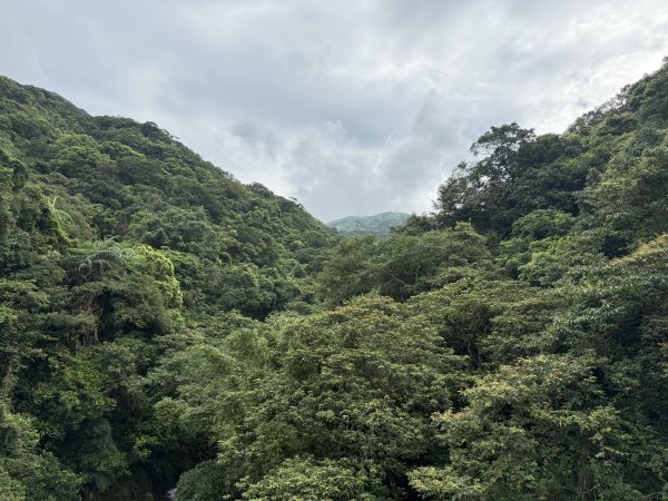 淡蘭北路第一段：瑞芳車站至慶雲宮2876387