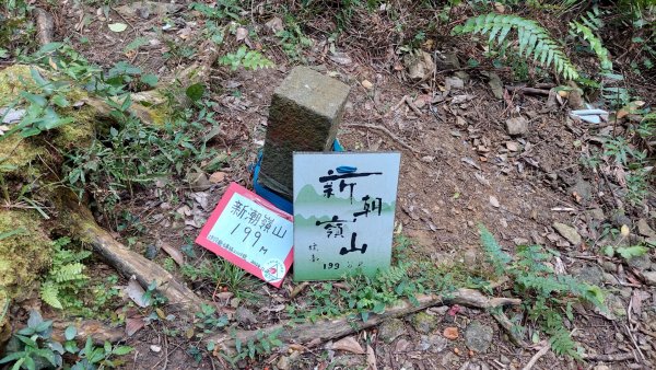 龜山五連星+大棟山O型2785143