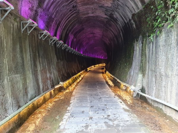 貓貍山公園，功維敘隧道1140939