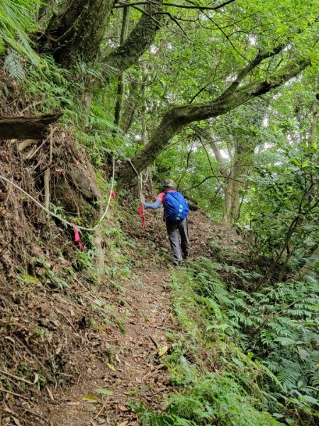 按圖索驥解鎖向天池山-202405192508233