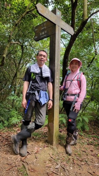 大坪古道-磺嘴山-鹿崛坪古道-2022/8/141855590