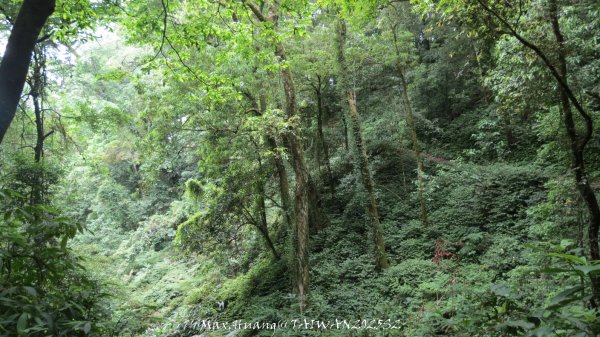 《雲林》望好望角｜石壁山嘉南雲峰步道(中側登山口）202506072805532