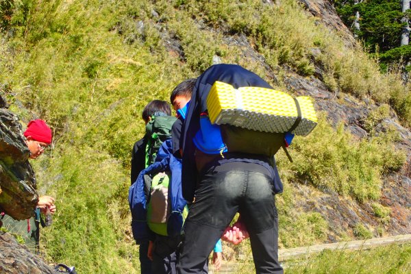 登峰造極--2018玉山主峰532652