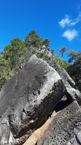 《台中》鳶嘴雲瀑｜鳶嘴山登山步道O繞202212041938441