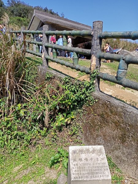 【臺北大縱走 3】風櫃口頂山石梯嶺擎天崗1264486