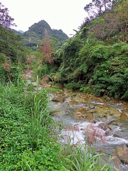 漫遊淡蘭古道石碇段：淡蘭山徑-外按古道、烏塗溪步道1529428