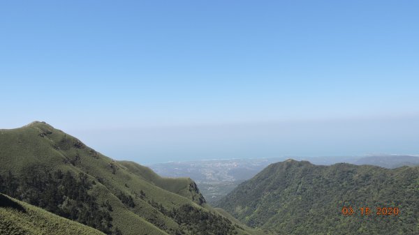 晴朗涼爽舒適/車道像停車場/步道人龍879704