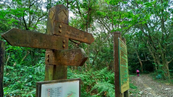 小百岳【尾寮山】905215