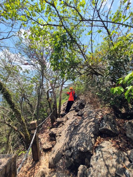 南化龍麟山（王爺崙山）O型952466