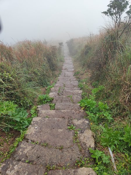 2026臺北大縱走第一段&第二段3011313