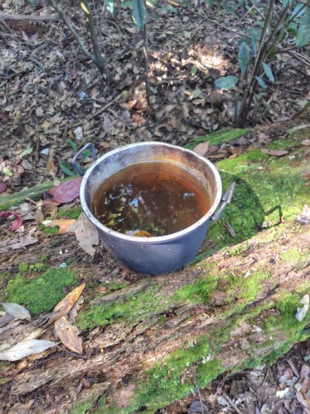 南東眼山連走有勝山2918738