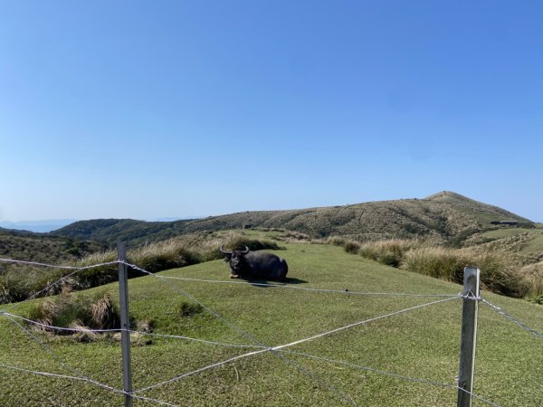 陽明山：石梯嶺步道2746965