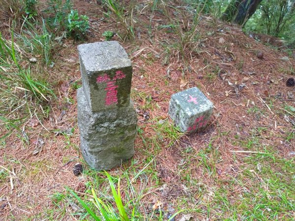 20220625台東海端向陽山、向陽山北峰、三叉山、嘉明湖1745624